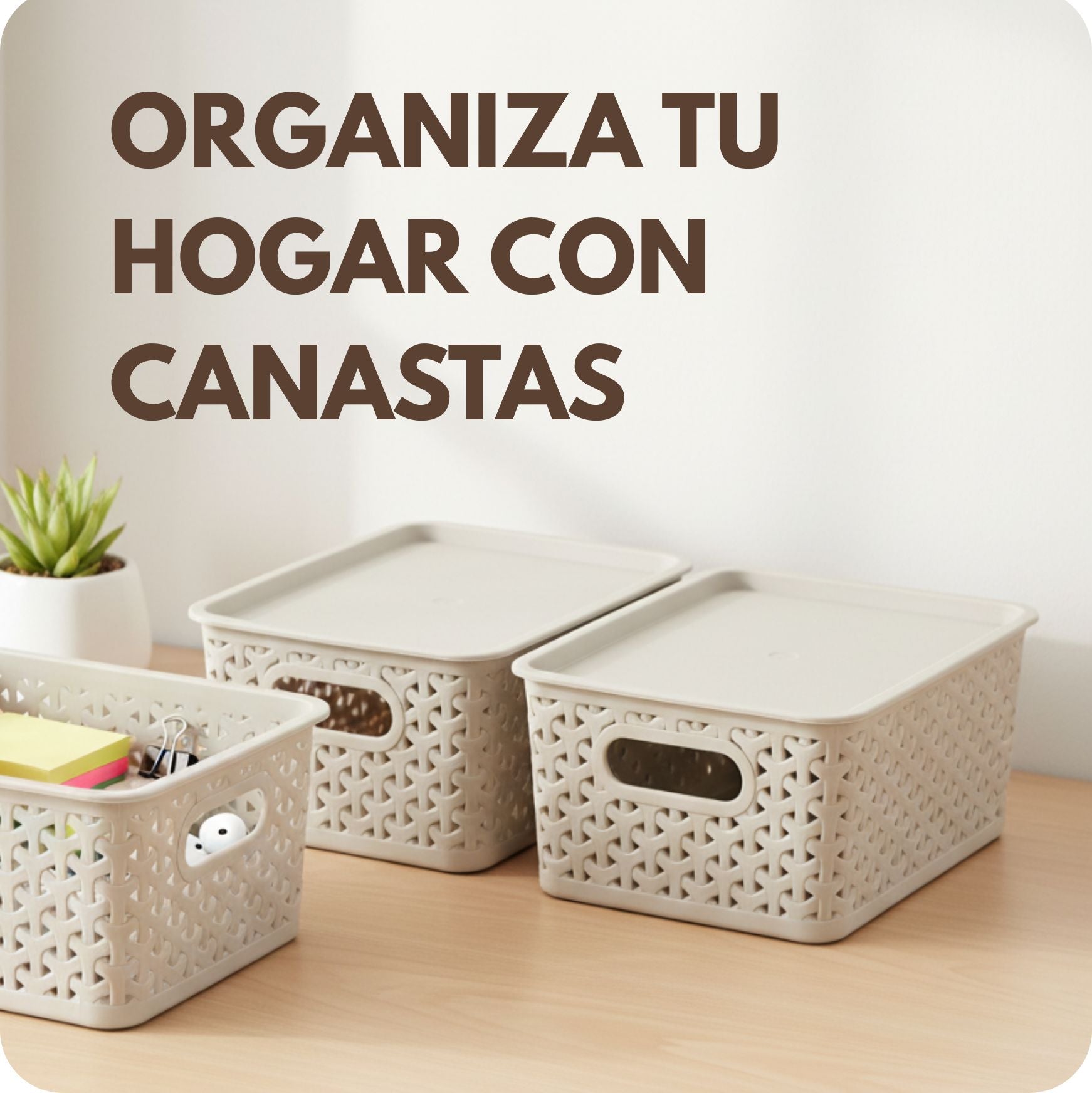 🧺 Cómo organizar tu hogar con canastas plásticas