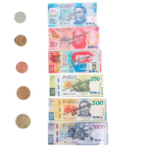 Juego Billetes y Monedas de Fantasía 90 billetes, 240 monedas de plástico y 3 dados.