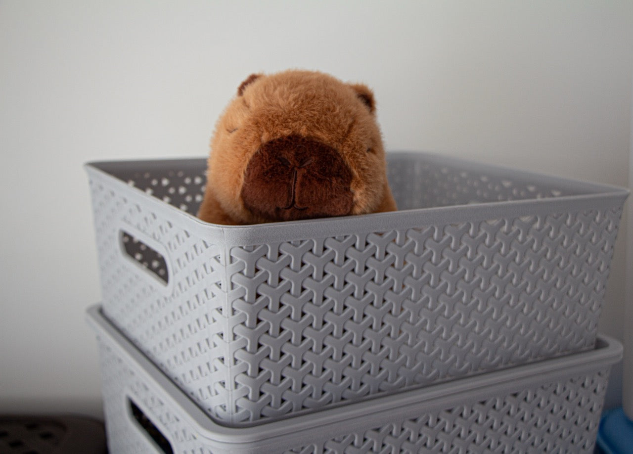 Kit 4 Canastas Nina Grandes con Tapa Apilables