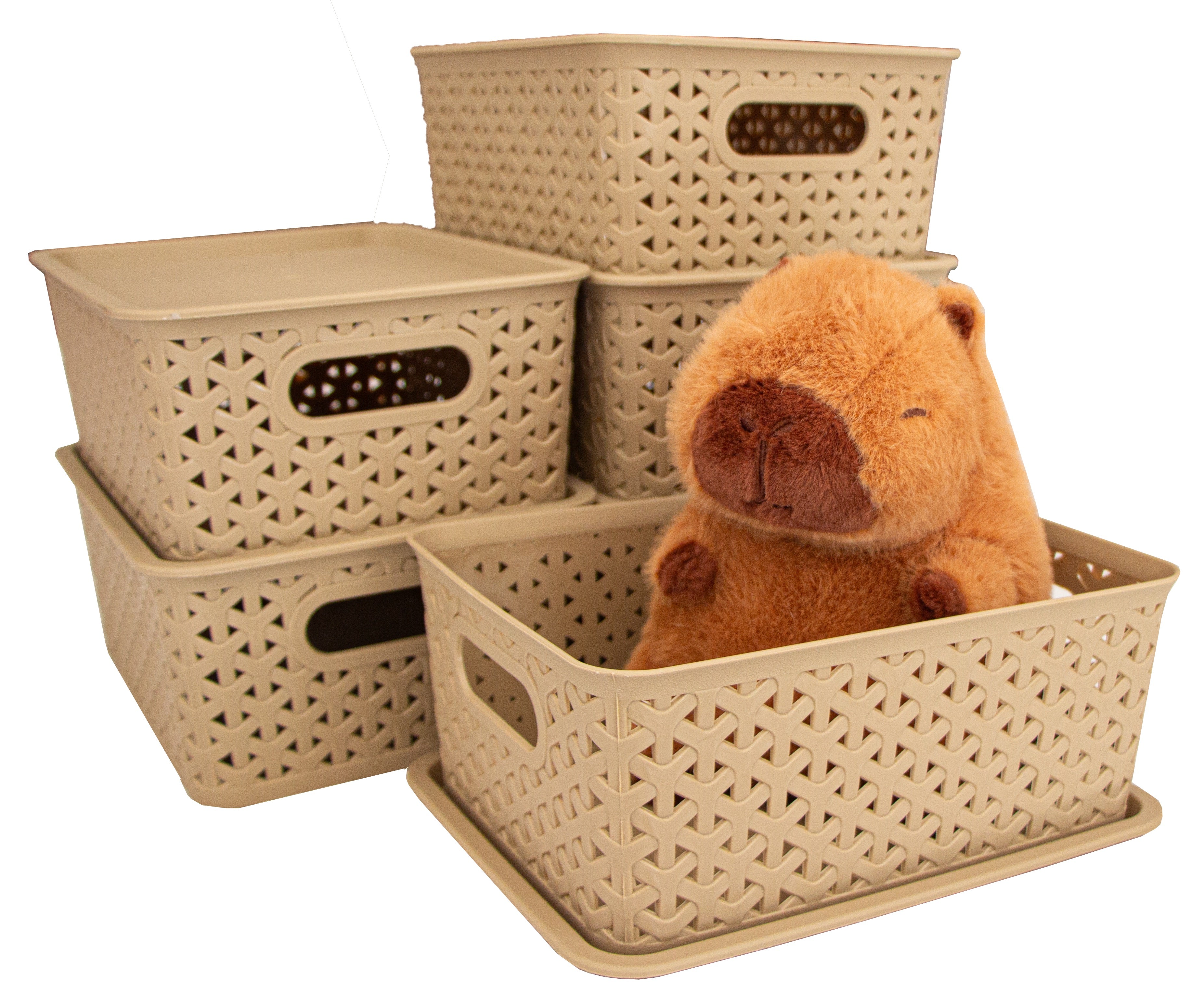 Kit 6 Canastas organizadoras  y 6 Tapas Chicas Nina